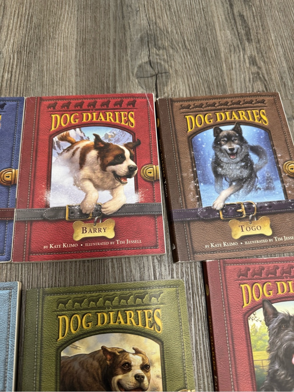 Dog Diaries 1-12 Series Paperback Books - Picture 4 of 13
